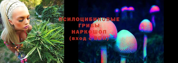 МДПВ Нязепетровск