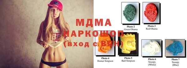 spice Няндома