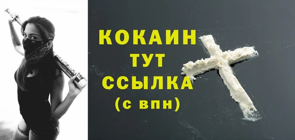 spice Няндома