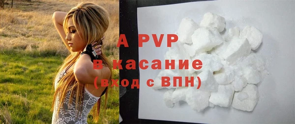 spice Няндома