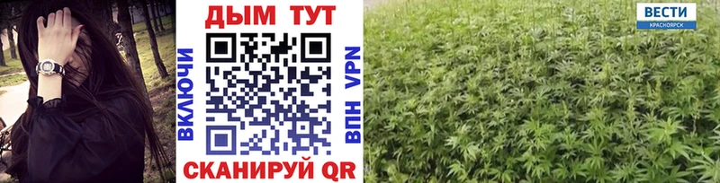 Канабис SATIVA & INDICA  где можно купить наркотик  Новотитаровская 